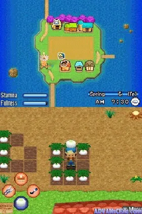 Harvest Moon DS - Sunshine Islands (USA) screen shot game playing